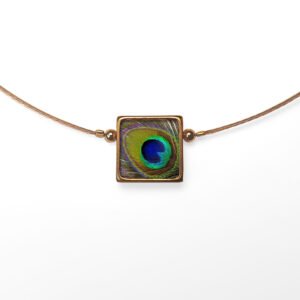 B101 (5) Peacock