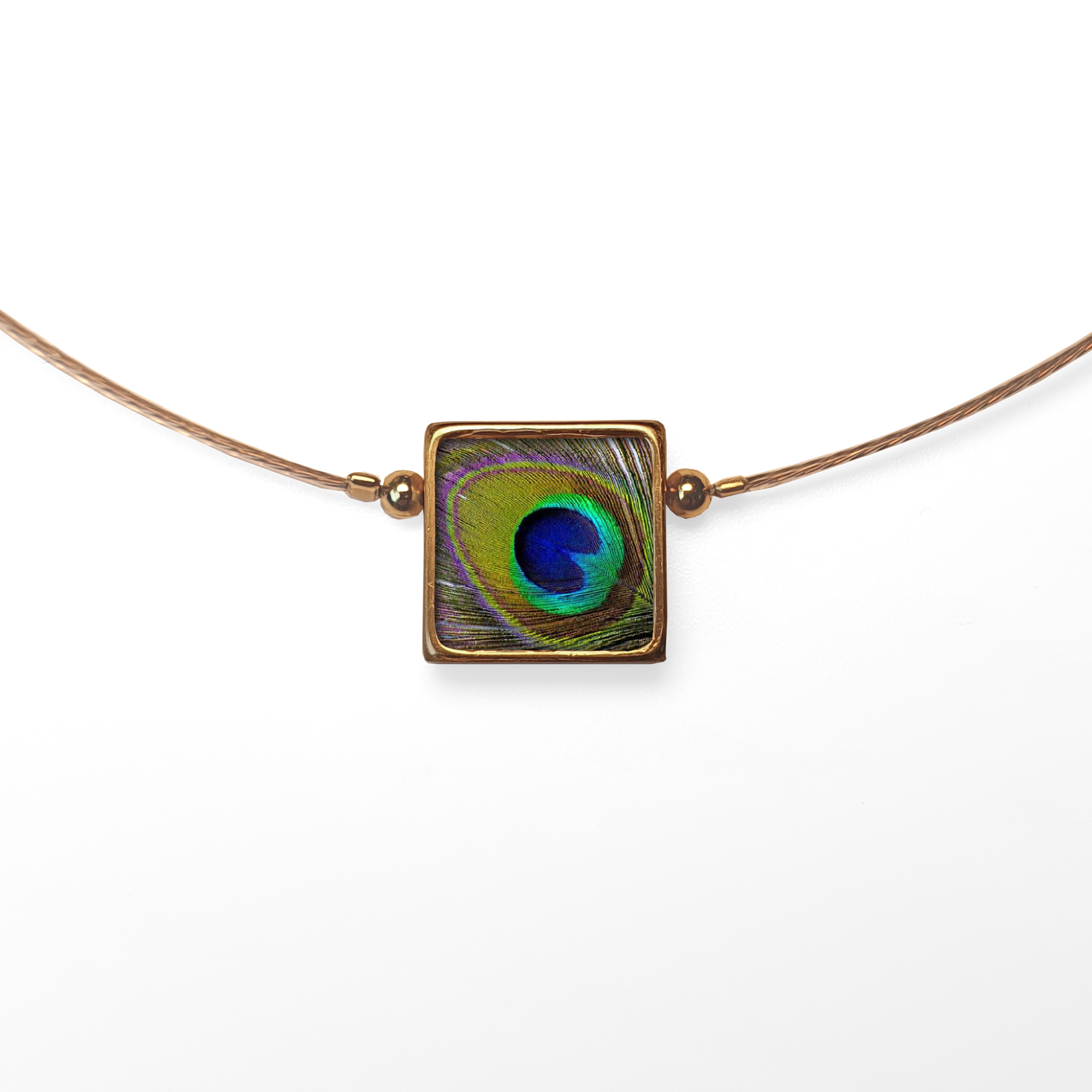 B101 (5) Peacock