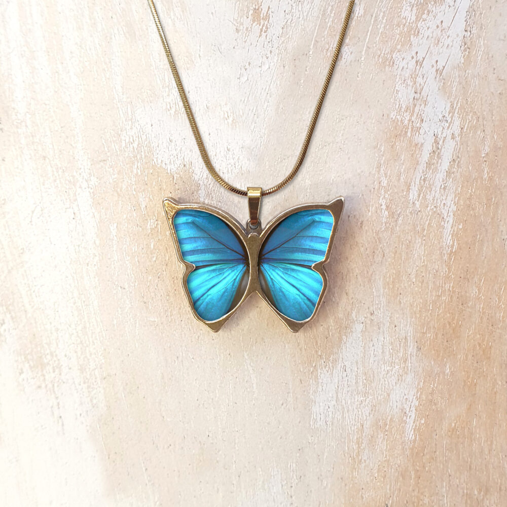 B133 (02) Blue Morpho