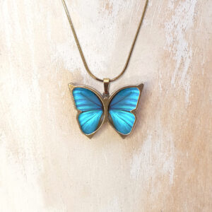 B133 (02) Blue Morpho