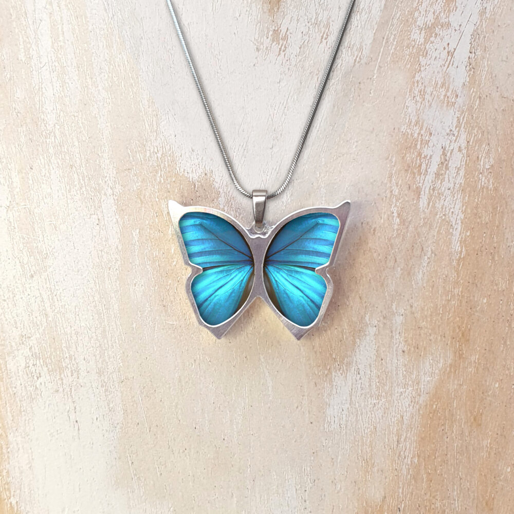 A133 (02) Blue Morpho